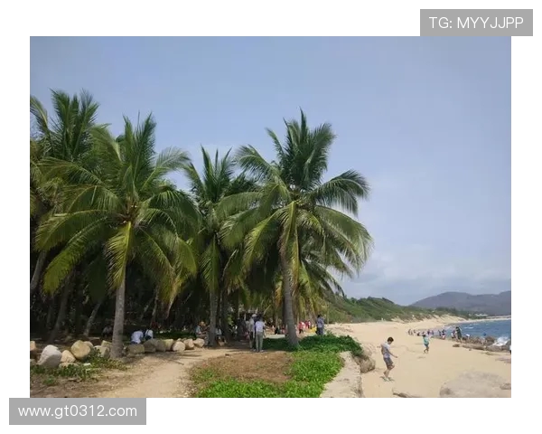 马总与马总的较量:商业智慧与领导风格的深度对比与启示 马总与马总的较量:商业智慧与领导风格的深度对比与启示